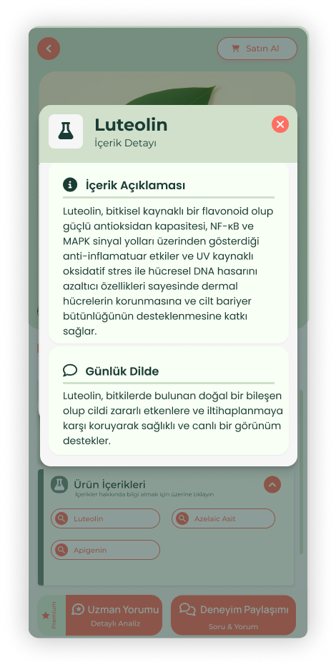 Ürün Açıklama Ekranı